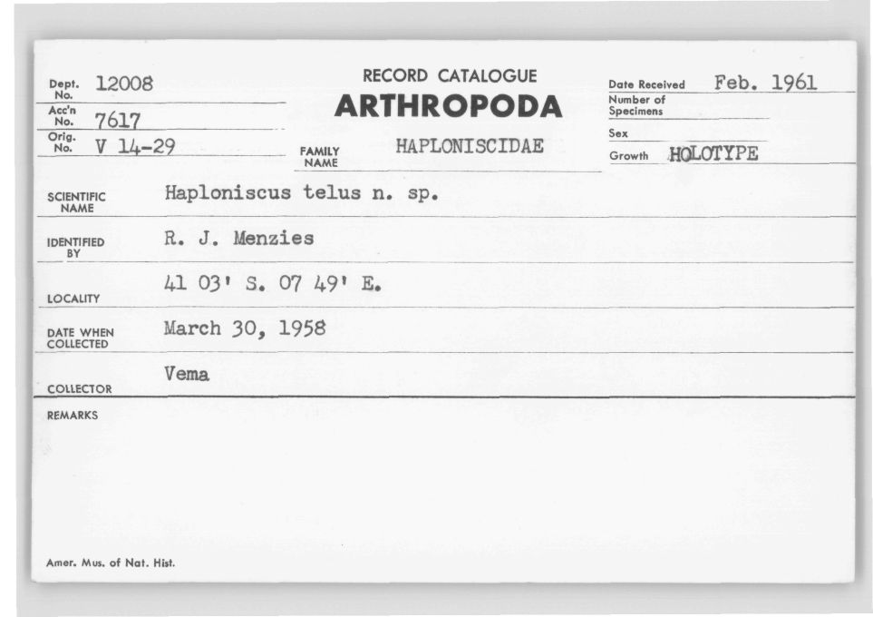 Haploniscus telus