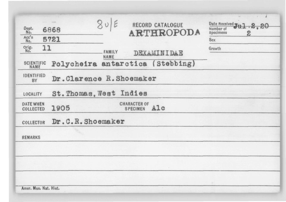 Polycheira