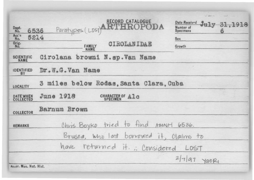 Cirolana browni