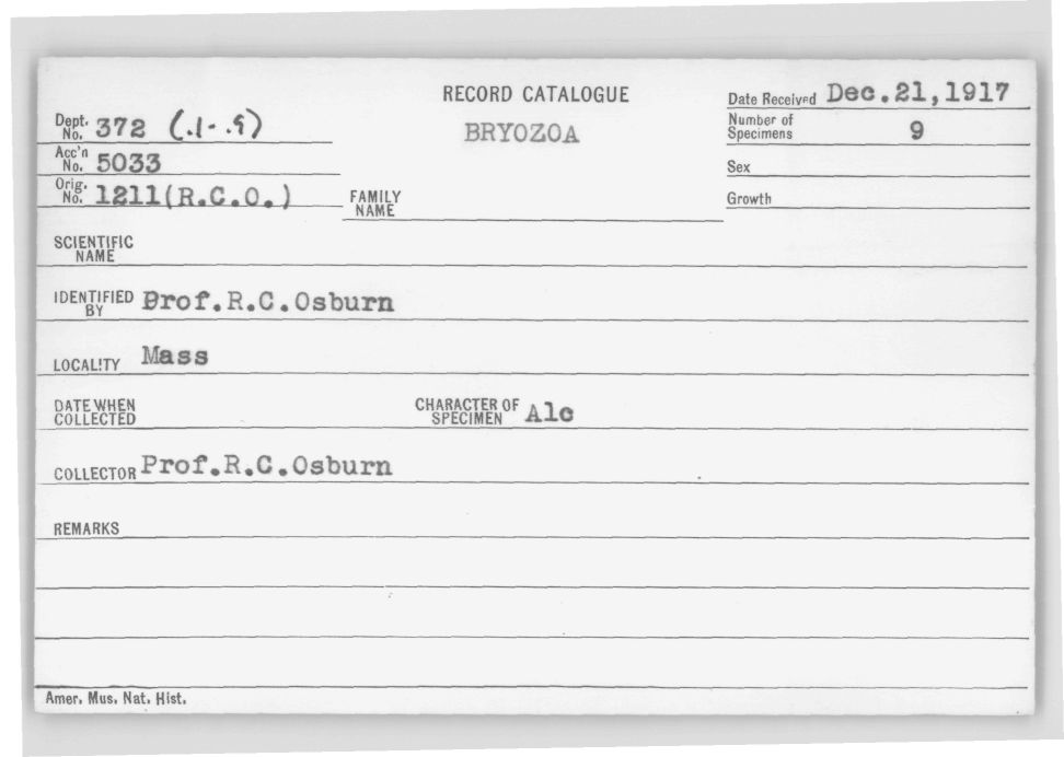 Card Catalog: Bryozoa 372